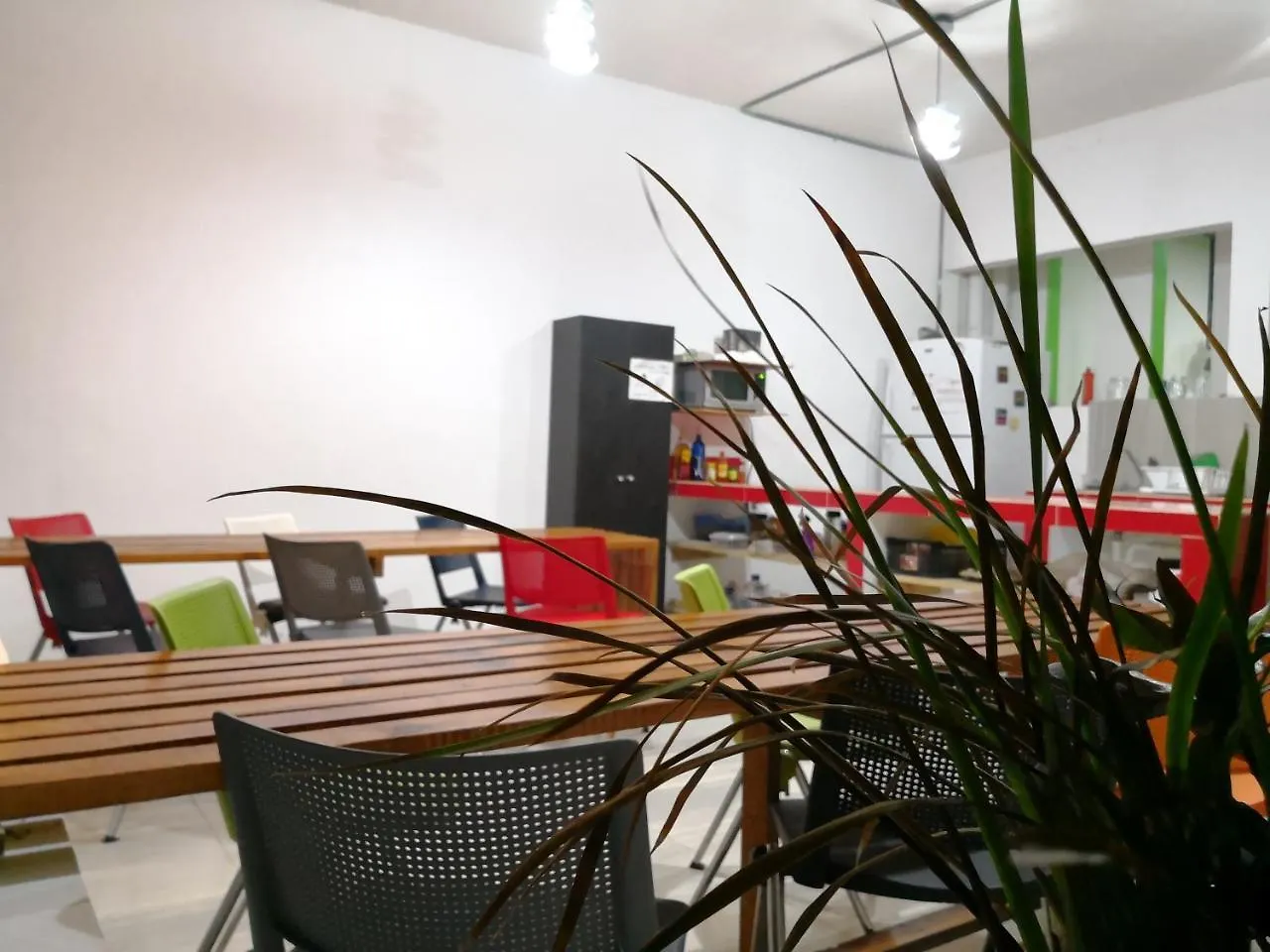 Hostel Kaban 44 Hotel Playa del Carmen